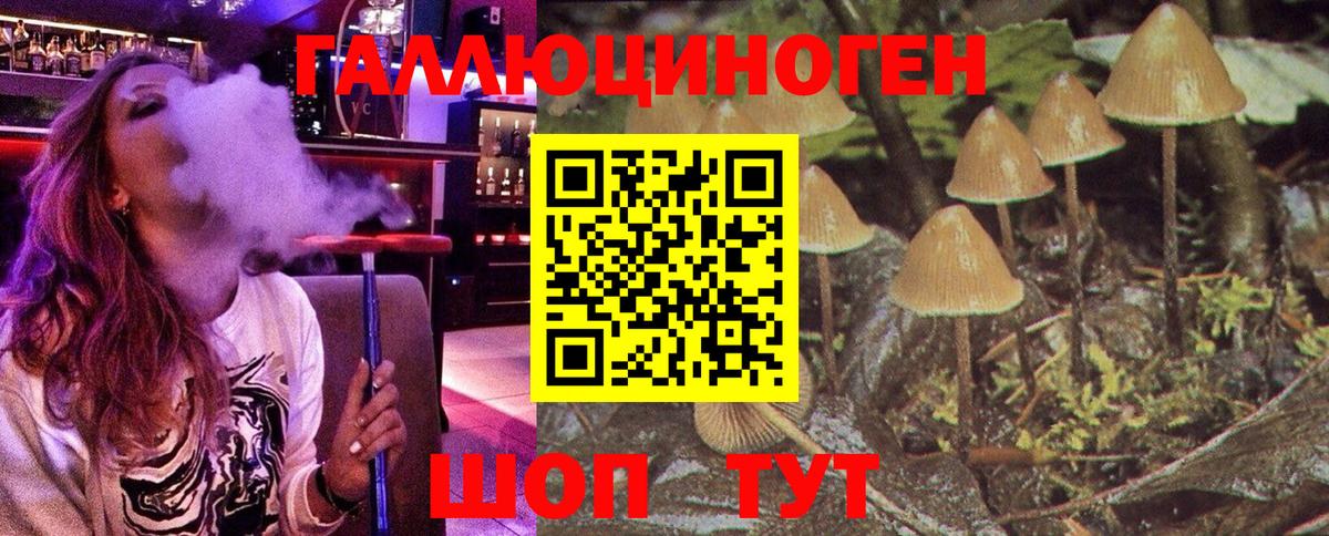 сколько стоит  Псилоцибиновые грибы Psilocybine cubensis  Вход с VPN  Елабуга 