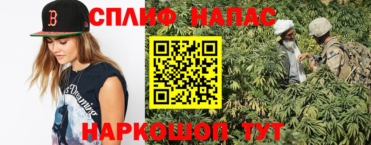 Конопля сатива Елабуга